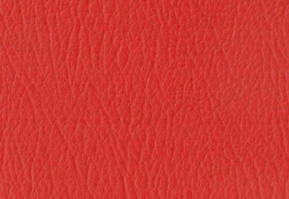 Sàn PVC thể thao Badminton